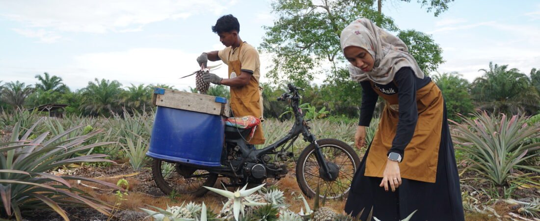 Kenapa harus pilih pinaloka?